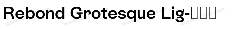 Rebond Grotesque Lig字体转换 Rebond Grotesque Lig字体转换